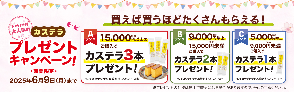 春のカステラ祭りキャンペーン内容