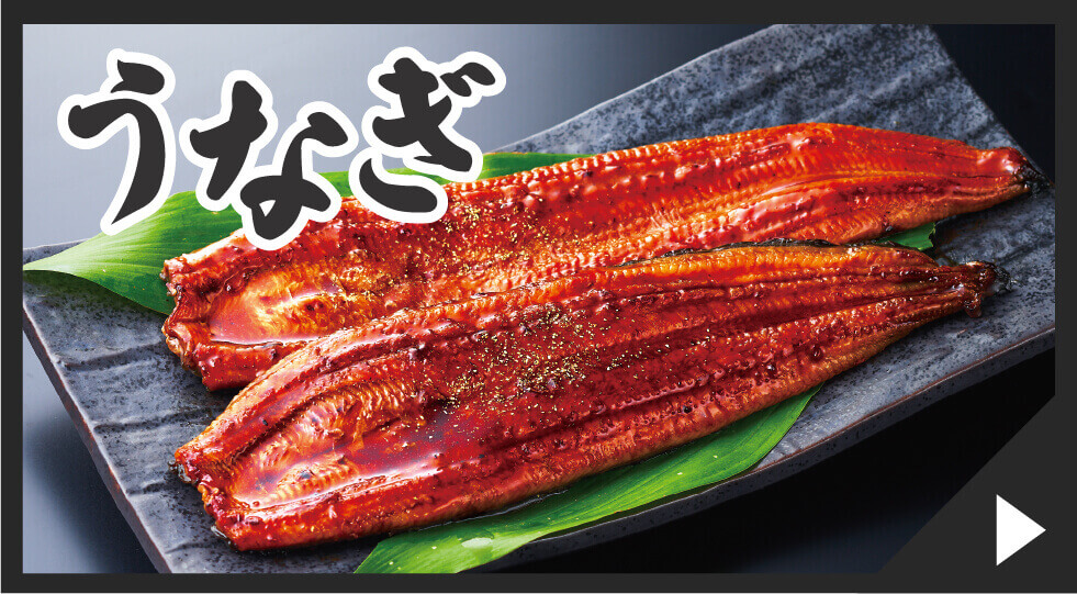 うなぎなバナー